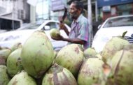 কারওয়ান বাজারে এক ডাবের দাম ১০০ টাকা