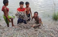 খালপাড়ে বস্তাভর্তি ছেঁড়া টাকার কুচি, বগুড়ায় তুলকালাম