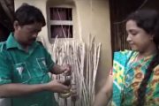 বাংলা ছবি 'নদীজন'