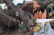 টর্নেডোর আঘাতে লণ্ডভণ্ড চুয়াডাঙ্গা
