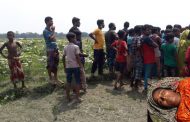 গৌরীপুরে শসা ক্ষেতে শিয়াল মারার ফাঁদে বিদ্যুৎস্পৃষ্টে গৃহবধূ’র মৃত্যু