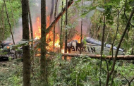 যুক্তরাষ্ট্রে প্লেন দুর্ঘটনায় ২ শিশুসহ নিহত ৫