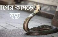 মানিকগঞ্জে সাপের কামড়ে দুই শিক্ষার্থীর মৃত্যু