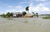 বাউফলে কোটি টাকার মাছ ভেসে গেছে
