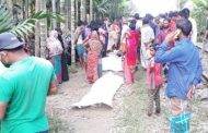 বারহাট্টায় ট্রেনে কাটাপড়ে রেল লাইনে ঘুুমিয়ে থাকা ৩ জেলের মৃত্যু