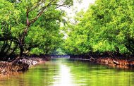 সুন্দরবনে পর্যটক প্রবেশে নিষেধাজ্ঞা