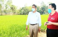 বাংলাদেশ শিগগিরই সমৃদ্ধশালী হবে : কৃষিমন্ত্রী