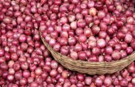প্রতি কেজি পেঁয়াজ ২০ টাকা