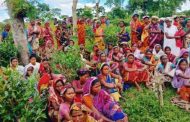 ১২০ টাকা মজুরিতেই কাজে ফিরছেন চা শ্রমিকরা