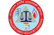 এলপিজি মাফিয়াদের হাতের পুতুল বিইআরসি