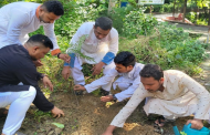 ডিসি হিলে শতাধিক বৃক্ষ রোপন করলো দূর্বার তারুণ্যের 'আমরা মালি'