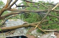 ৫ জেলায় ৯ জনের প্রাণহানি