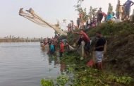 ঠাকুরগাঁওয়ে বুড়ি বাঁধে মাছ ধরা উৎসব