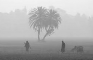 দেশের সর্বনিম্ন তাপমাত্রা চুয়াডাঙ্গায়