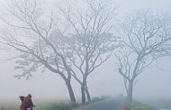 ঘন কুয়াশায় মোড়া দেশ