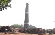 মেহেরপুরে ১০৩টি ইটভাটার ১০০টি অবৈধ