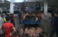 সারাদেশে ট্যানারিতে ঢুকছে কাঁচা চামড়া