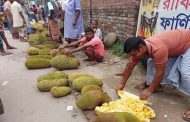 বাজারে কাঁঠালের লম্বা সারি, ক্রেতার দেখা নেই