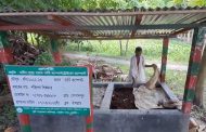 নড়াইলে জনপ্রিয় হয়ে উঠেছে কেঁচো সার