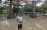 জ্বলোচ্ছাসে প্লাবিত সুন্দরবন