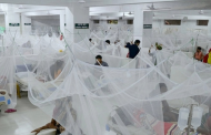 ডেঙ্গুতে ২৪ ঘণ্টায় রেকর্ড মৃত্যু, হাসপাতালে ভর্তি ৩০১৫