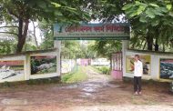 নিলামে বিক্রি হল পিকে হালদারের কুমির খামার