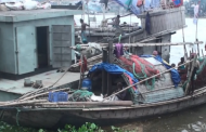 ইলিশ মাছ ধরা নিষিদ্ধ আজ থেকে ২২ দিন