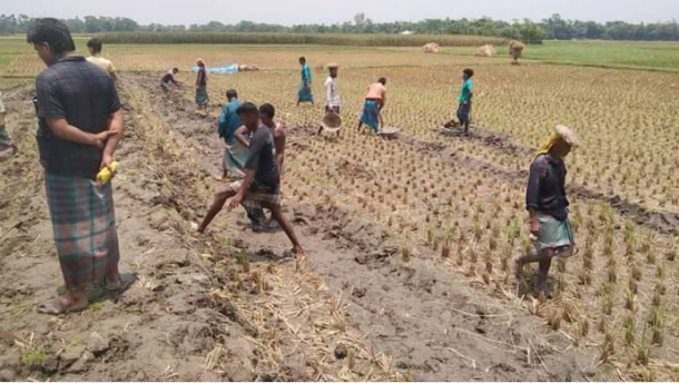 কুমিল্লায় নিজেরাই রাস্তা তৈরি করছেন গ্রামবাসী