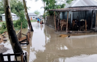 লালমনিরহাটে তিস্তার পানি বিপদসীমার ওপরে, নিম্নাঞ্চল প্লাবিত