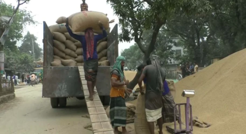 চালের দাম না কমার কারণ বড় মিলগুলোর মজুদদারি