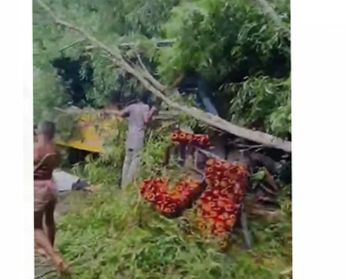 গোপালগঞ্জে বাস ও ট্রাকের সংঘর্ষে ৫ জন নিহত