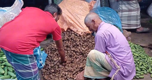 কিশোরগঞ্জে বাজারে সবজির দামে স্বস্তি