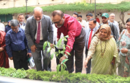 পরিবেশ বিষয়ে গবেষণা কার্যক্রম জোরদার করতে হবে : ঢাবি উপাচার্য