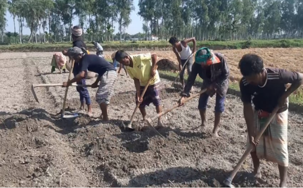 যে সঙ্কটে আছেন জয়পুরহাটের আলুচাষীরা