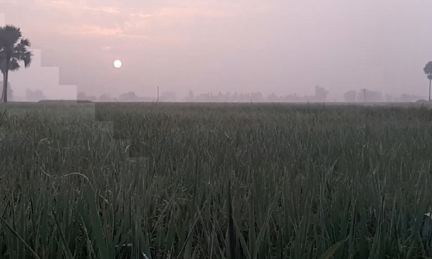 শীতের আমেজ জয়পুরহাটসহ উত্তরাঞ্চলের জেলাগুলোতে