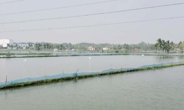 খুলনায় মংস্য খাতে ক্ষতি ২৬২ কোটি টাকা