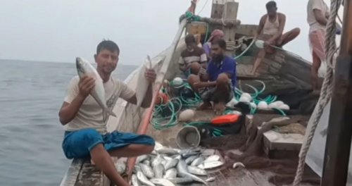 ইলিশ ধরতে জাল ফেললেন জেলেরা