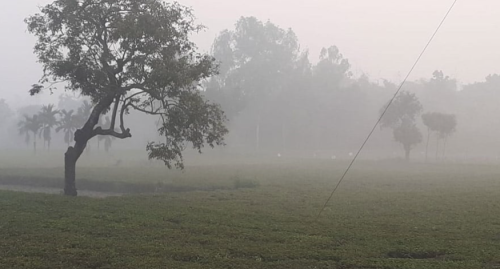 দিনাজপুরে তাপমাত্রার পারদ ১০ ডিগ্রীতে নেমেছে