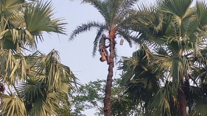 হারিয়ে যাচ্ছে শরীয়তপুরের ঐতিহ্যবাহী খেজুরের রস