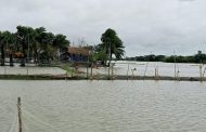 নোয়াখালীর উপকূলে বৃষ্টি-দমকা হাওয়া, বন্যার শঙ্কা