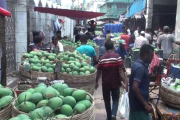 সাতক্ষীরায় জমজমাট আমের বাজার