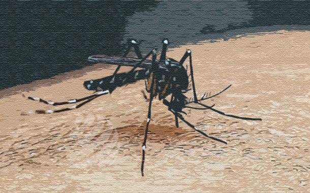 ডেঙ্গু আক্রান্ত হয়ে আরো ৪২৯ জন হাসপাতালে