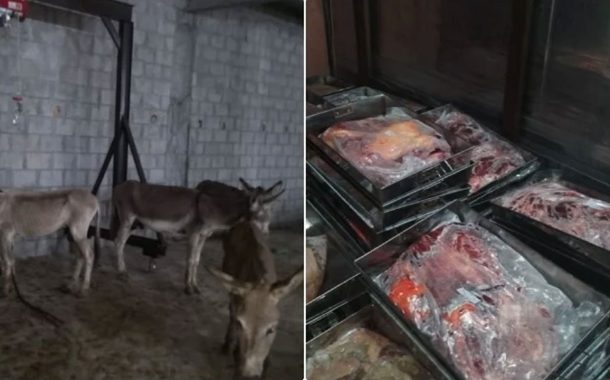 পাকিস্তানে গোপন কসাইখানা থেকে ৫০টি গাধা ও ১০০০ কেজি গাধার মাংস জব্দ