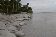 তিস্তায় পানি বাড়ছে, কুড়িগ্রামের নিম্নাঞ্চল প্লাবিত হওয়ার শঙ্কা