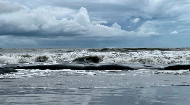 বঙ্গোপসাগরে লঘুচাপ সৃষ্টির আভাস