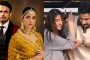 বিরিয়ানি থেকে পামাল, আলোচনায় ৫ পাকিস্তানি ড্রামা