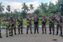 দুর্গাপূজা ঘিরে সাতক্ষীরা সীমান্তে বিজিবি-বিএসএফের কড়া নিরাপত্তা
