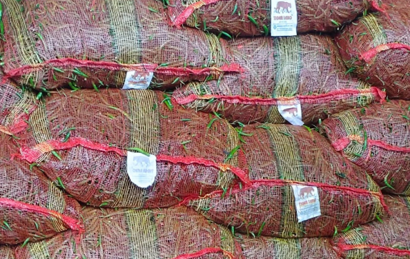 দুই দিনে সোনামসজিদ স্থলবন্দর দিয়ে এলো ৬৬ টন কাঁচা মরিচ