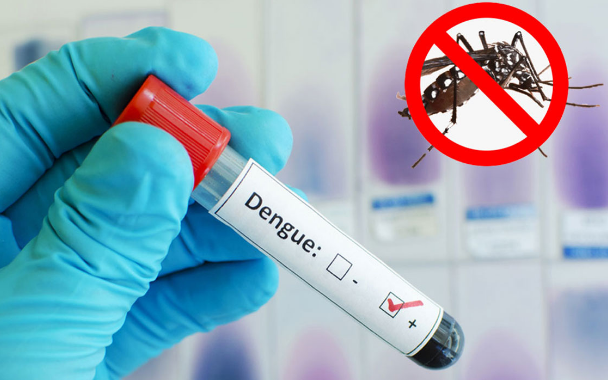 ডেঙ্গুতে আক্রান্তের সংখ্যা ৬০ হাজার ছুঁই ছুঁই