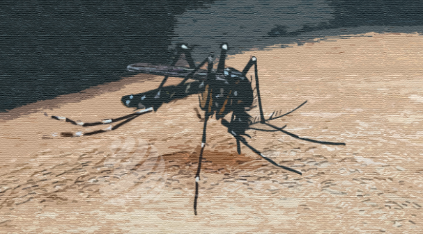 চট্টগ্রামে ডেঙ্গুতে অন্তঃসত্ত্বা নারীর মৃত্যু